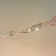 Illustration for article titled A Cybernetic Implant That Allows Paralyzed Rats To Walk Again